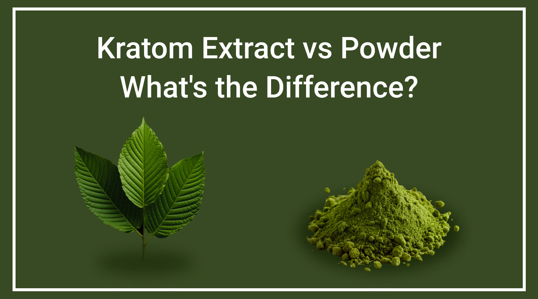 Kratom Extract vs Powder