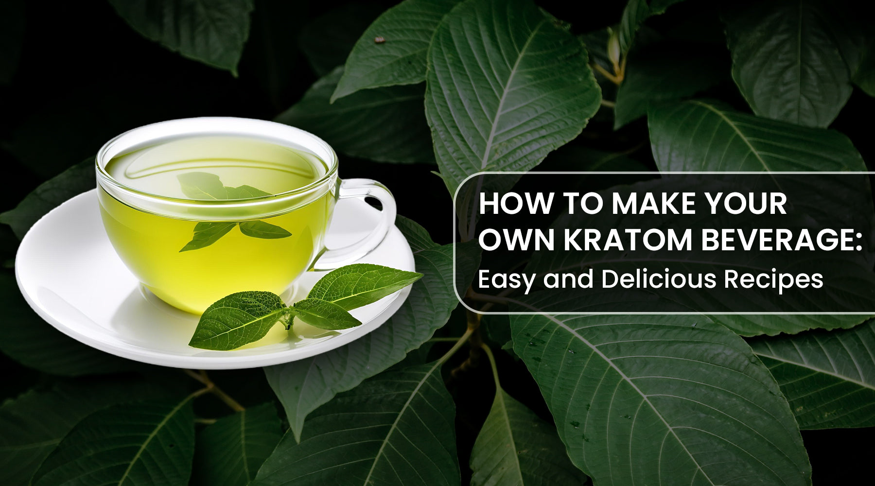 How to Make Your Own Kratom Beverage