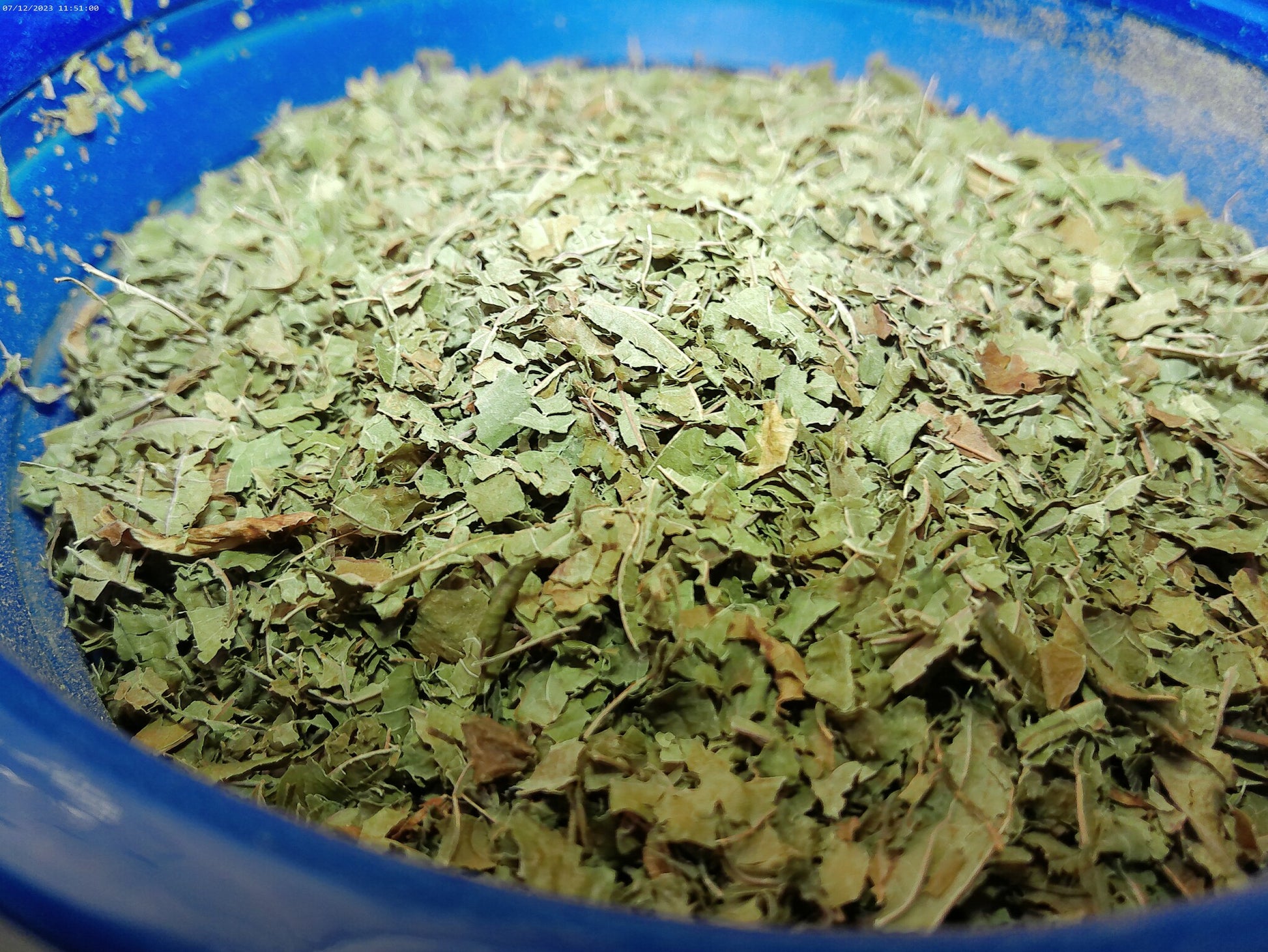 bulk kratom green dried leaf