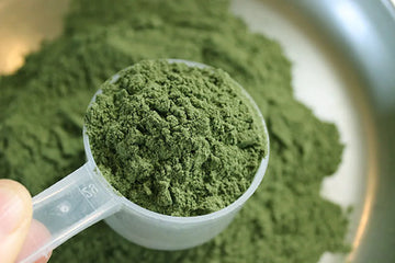 green kratom in a spoon